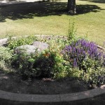 light brown concrete edging