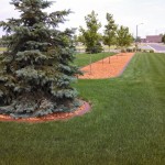 brown concrete landscape curbing