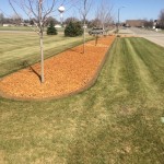 concrete edging brown
