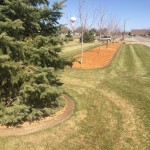 brown concrete curbing